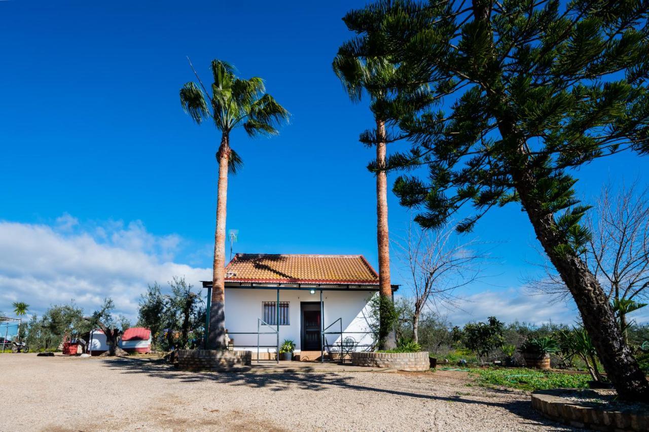 El Paraiso Del Olivar Bollullos de la Mitacion Exterior photo