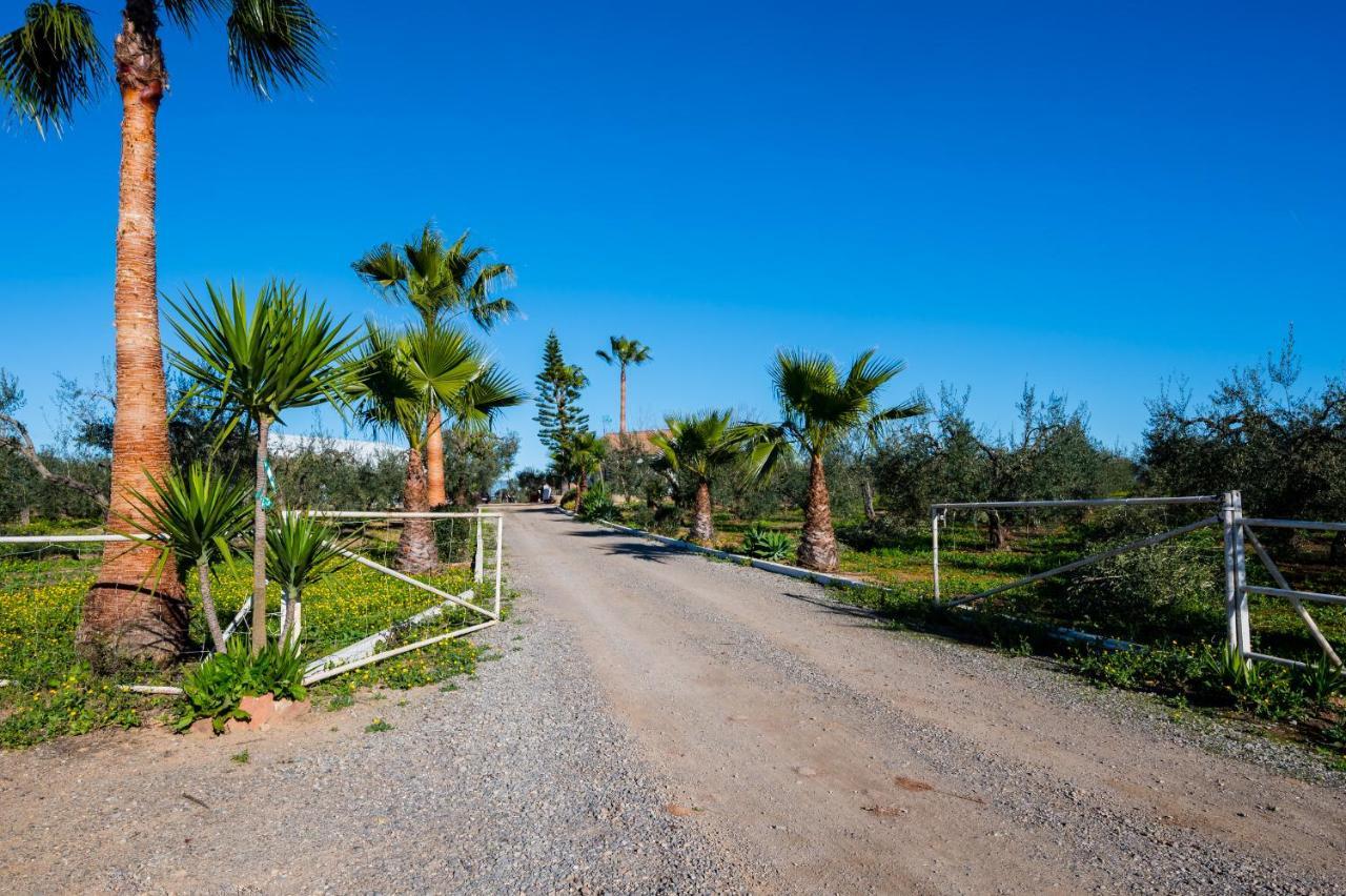 El Paraiso Del Olivar Bollullos de la Mitacion Exterior photo