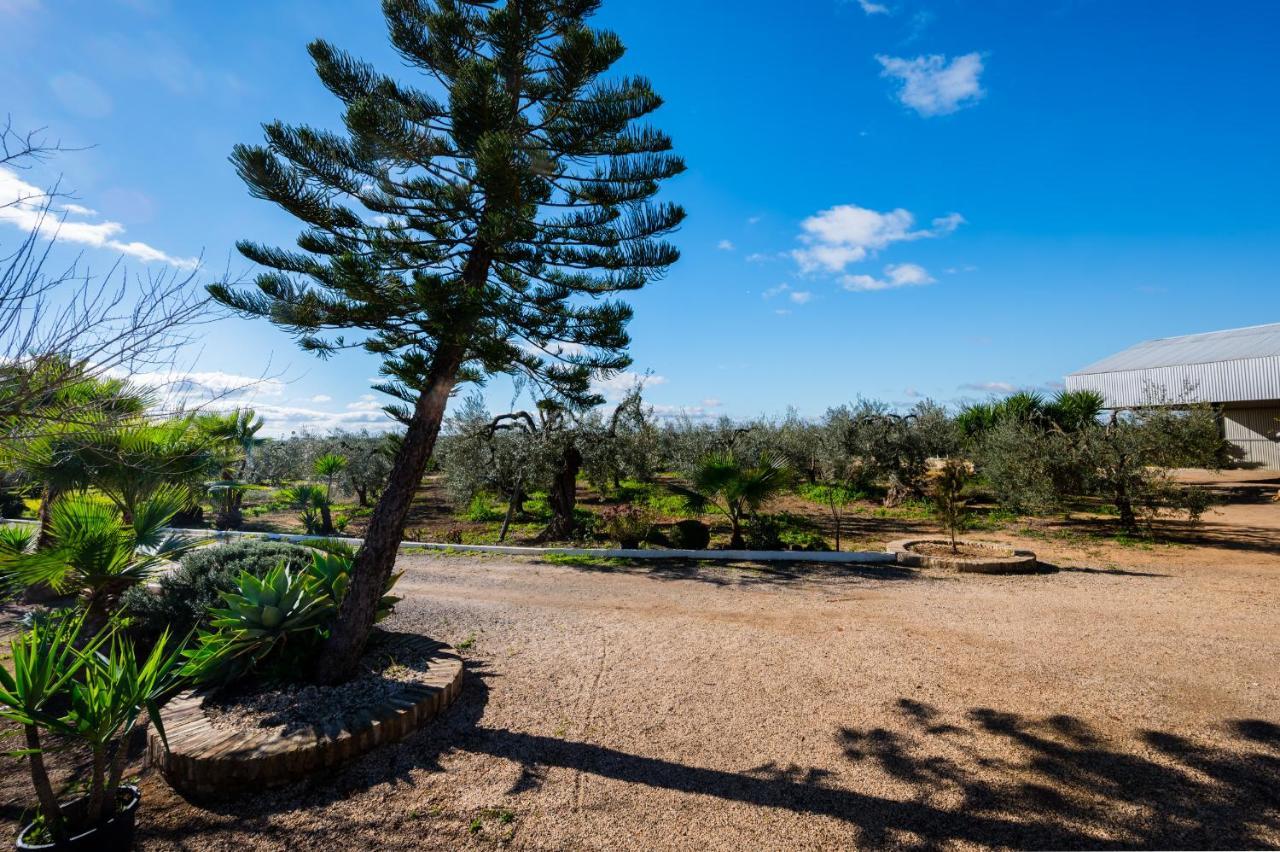 El Paraiso Del Olivar Bollullos de la Mitacion Exterior photo