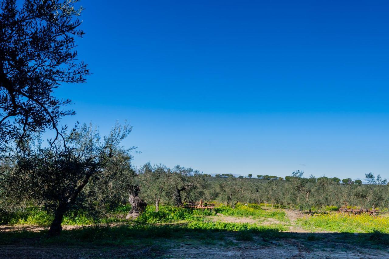 El Paraiso Del Olivar Bollullos de la Mitacion Exterior photo